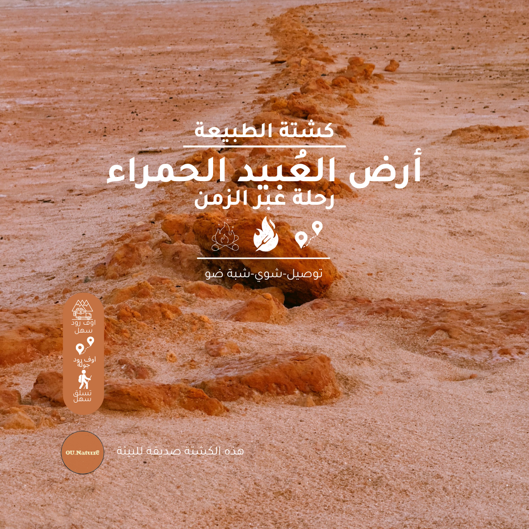 كشتة في الطبيعة (٣٦) - ٢١ فبراير ٢٠٢٥