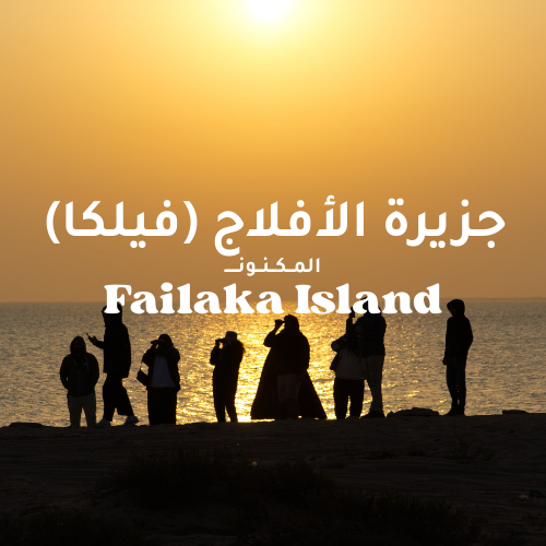 جزيرة فيلكا