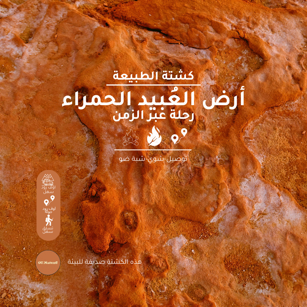 كشتة في الطبيعة (٣٤) - ٧ فبراير ٢٠٢٥