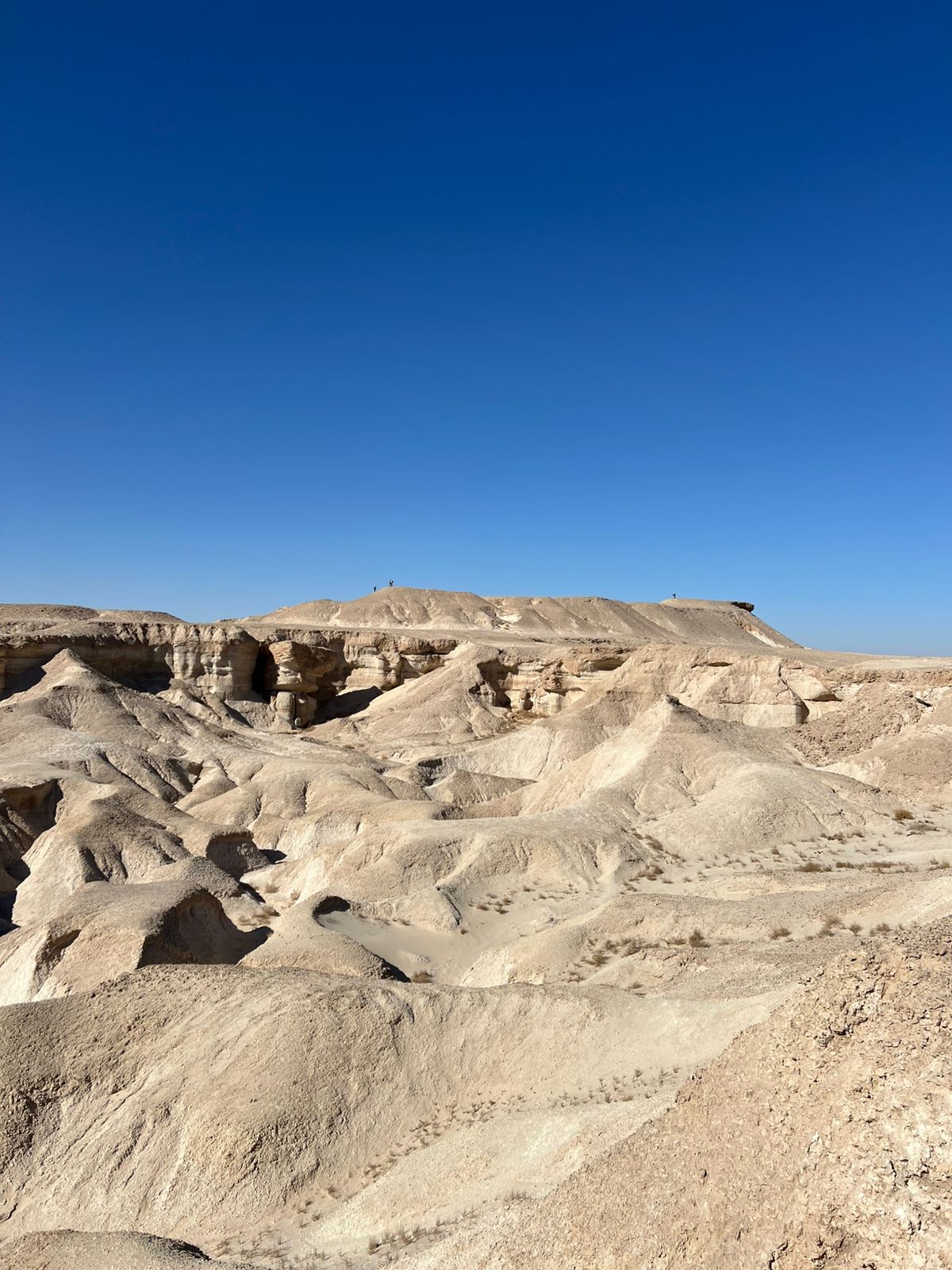 رحلة الساحل الشرقي