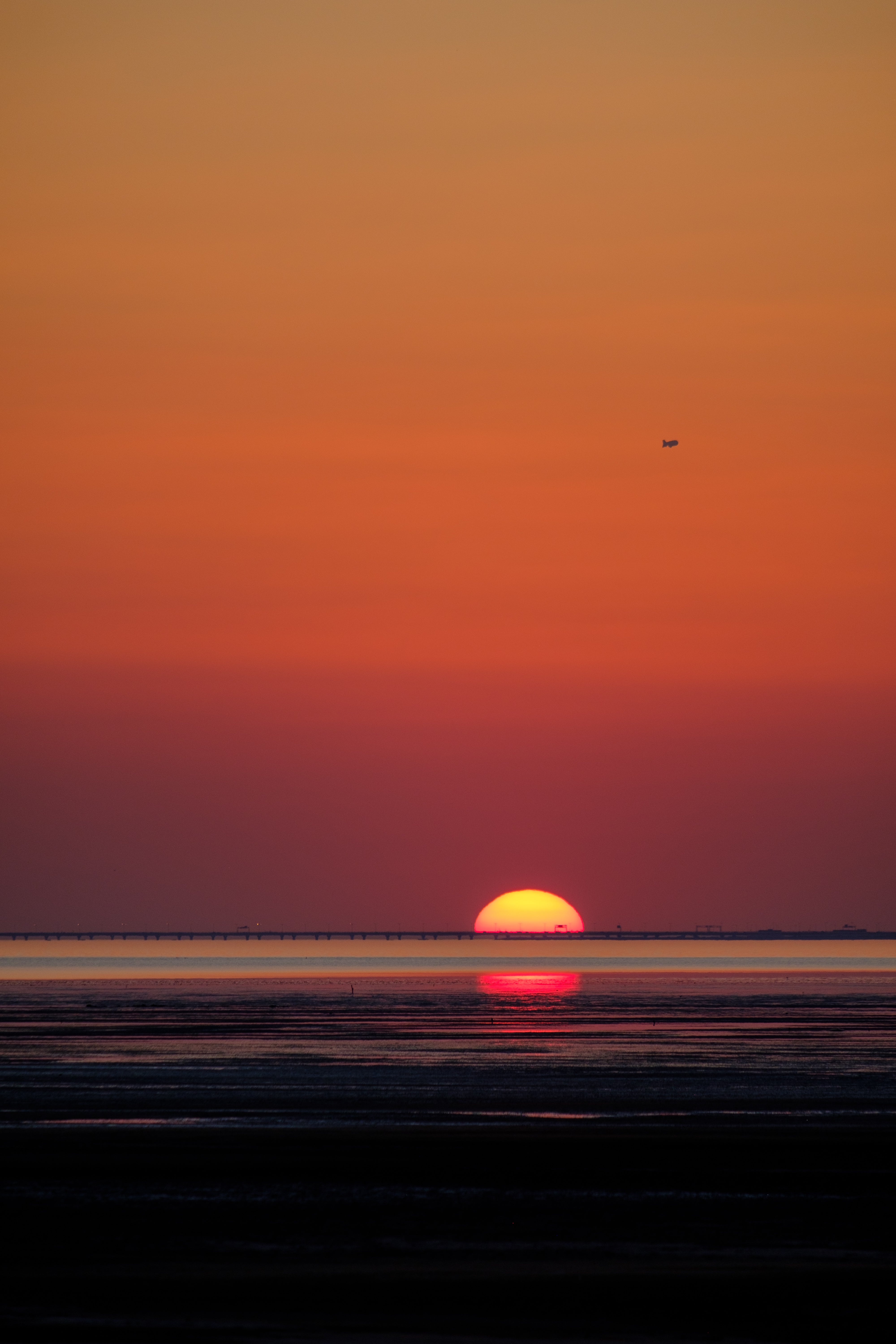 رحلة الساحل الشرقي