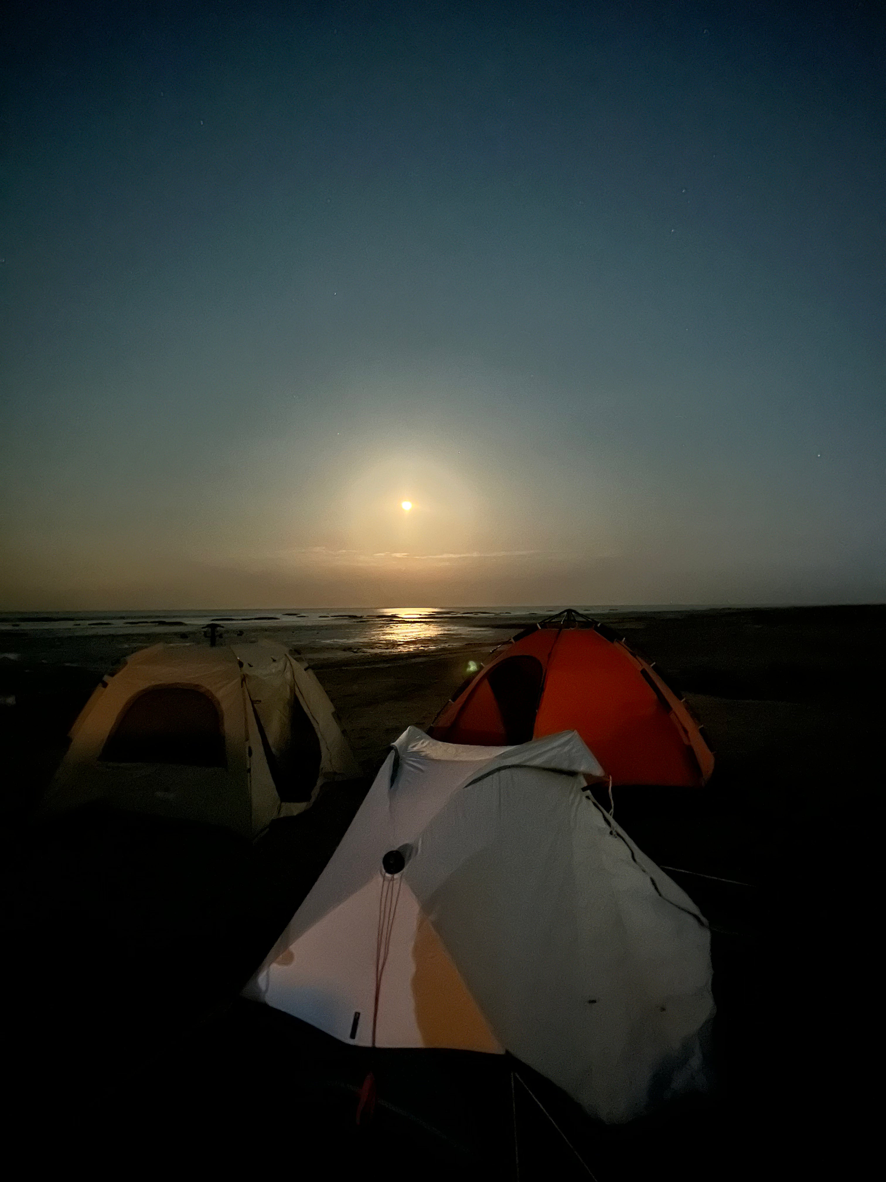 رحلة الساحل الشرقي