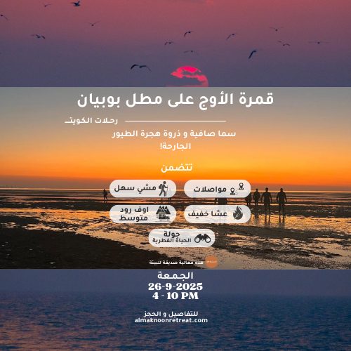 Al-Ouj Moon Night - Wildlife & Dark Sky