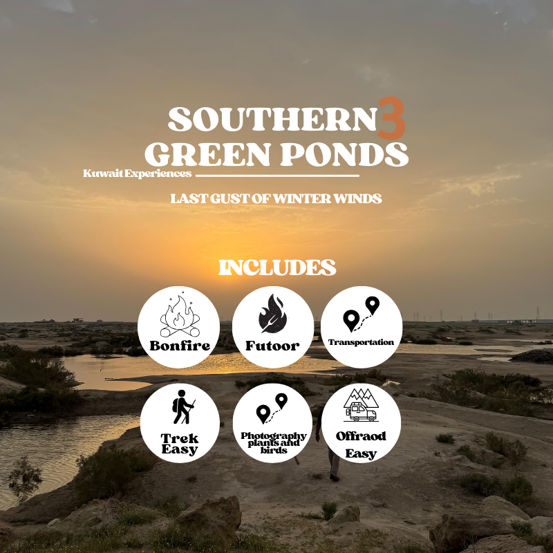 Southern Green Ponds of Kuwait 3