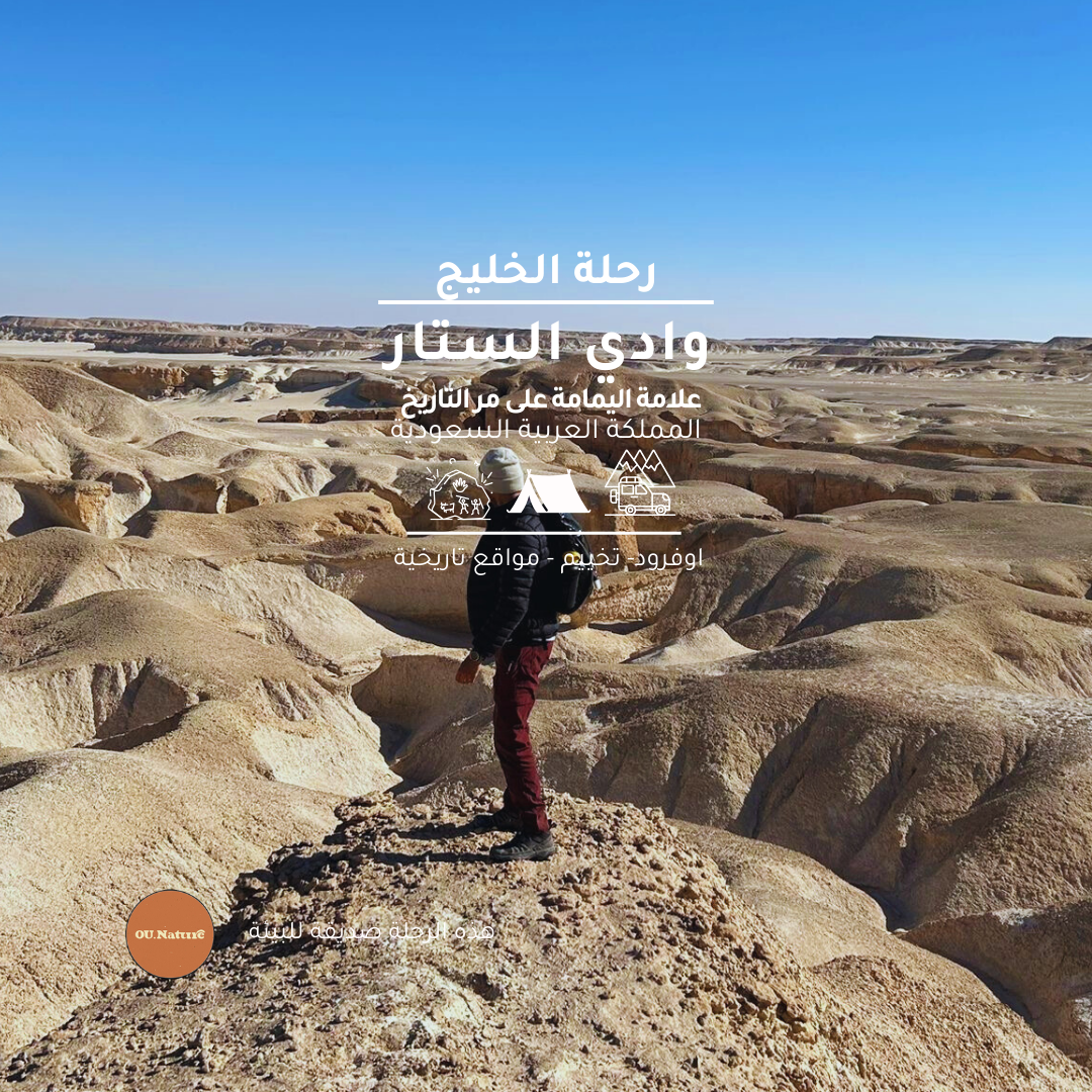Wadi Al-Sattar