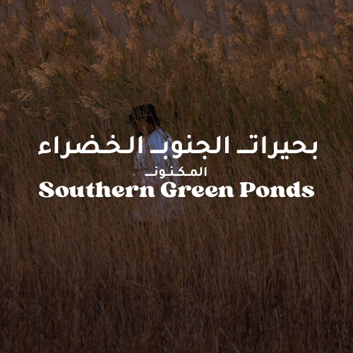  واحات الجنوب الخضراء 